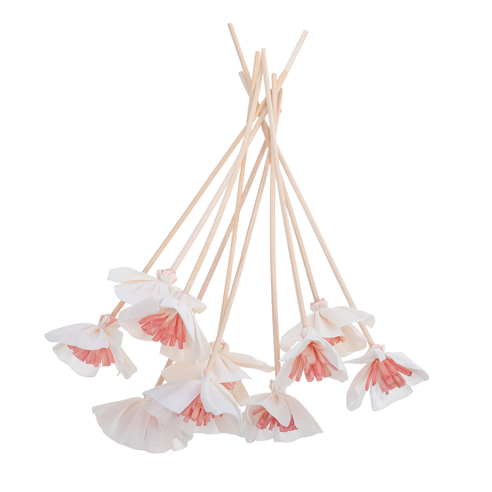 10本入り エッセンシャルオイルディフューザースティック ブ - Home And You Fragrance Diffuser のレビューと価格